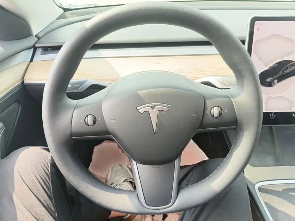 Tesla Model 3 — миниатюра 11