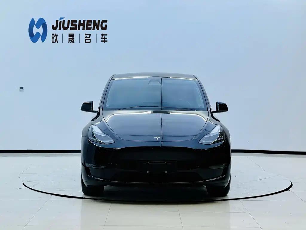 Tesla Model Y — миниатюра 2