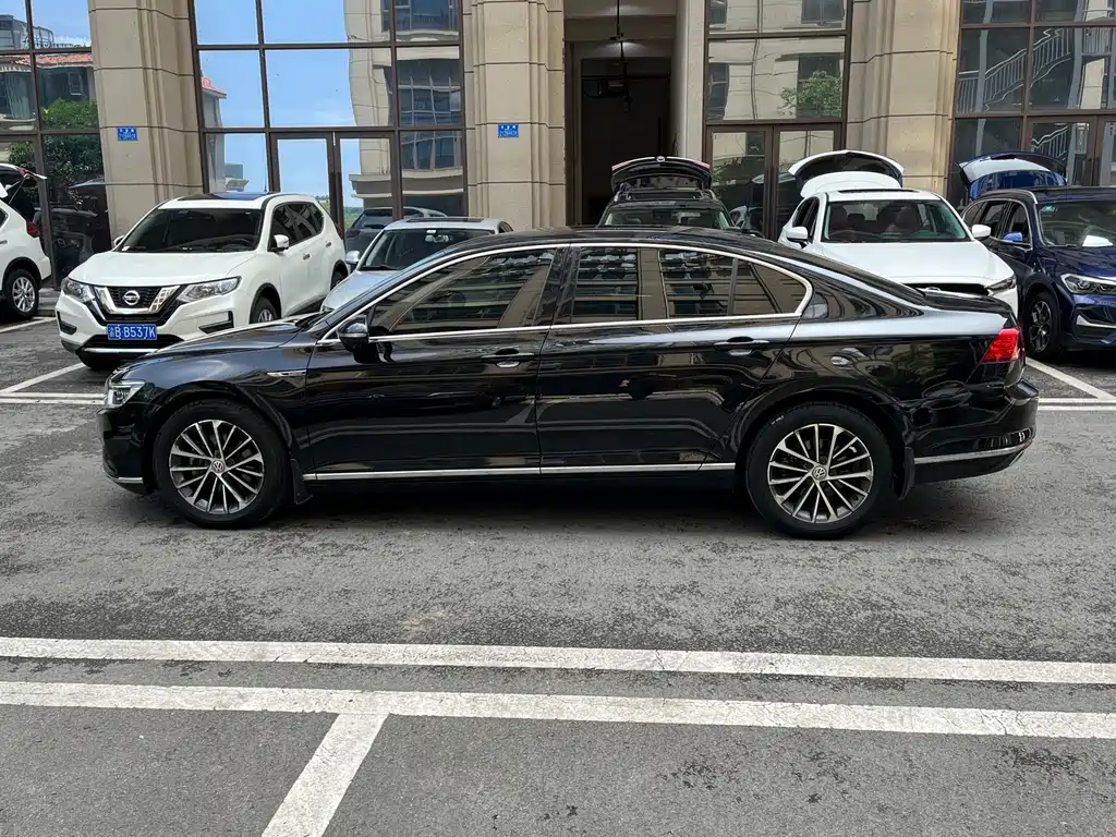 Volkswagen Magotan 2020 330TSI DSG Luxury