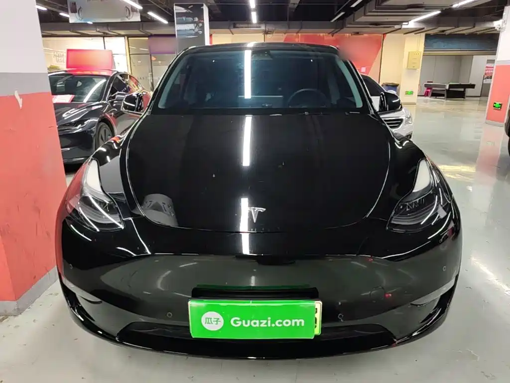 Tesla Model Y — миниатюра 3