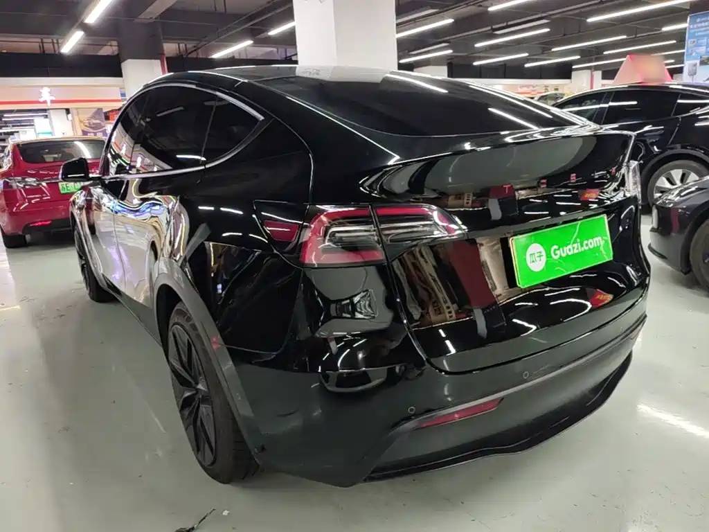 Tesla Model Y — миниатюра 5