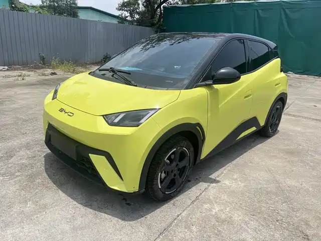 2024 BYD Seagull