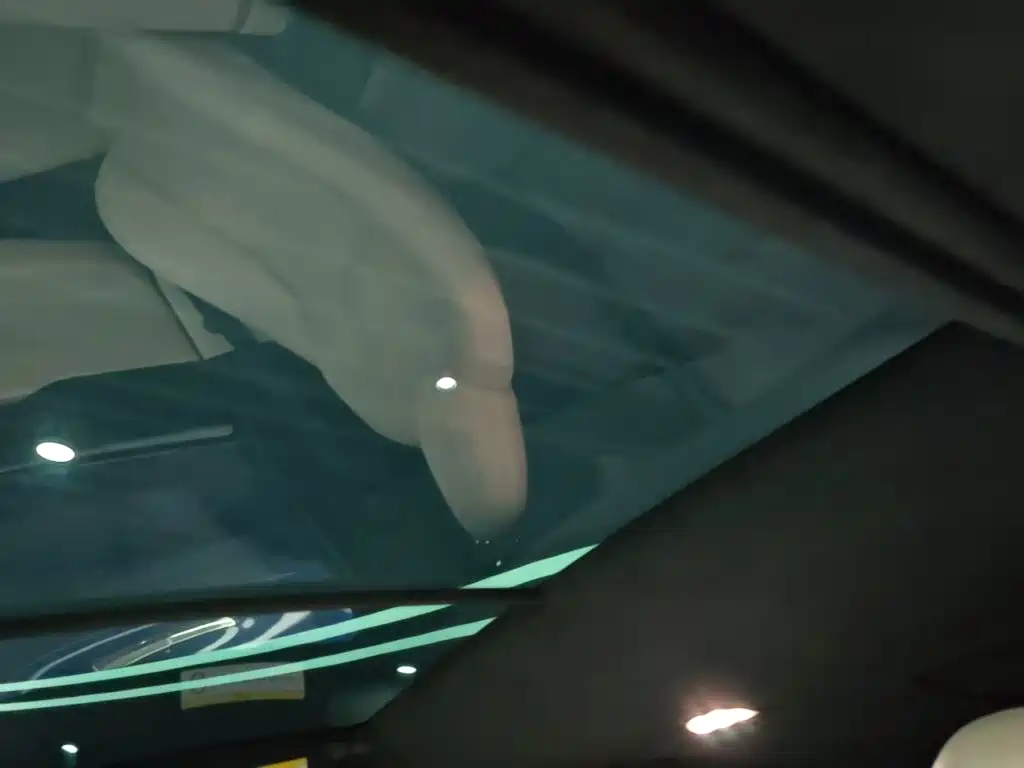 Tesla Model X — миниатюра 14