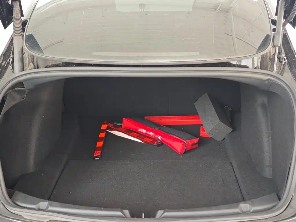 Tesla Model 3 — миниатюра 15