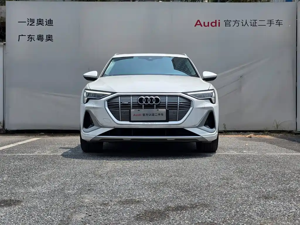 Audi e-tron — миниатюра 2