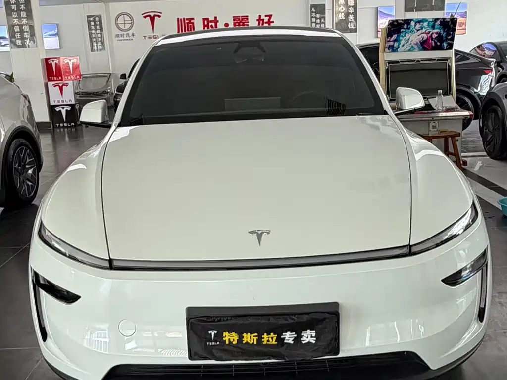 Tesla Model Y L — миниатюра 2