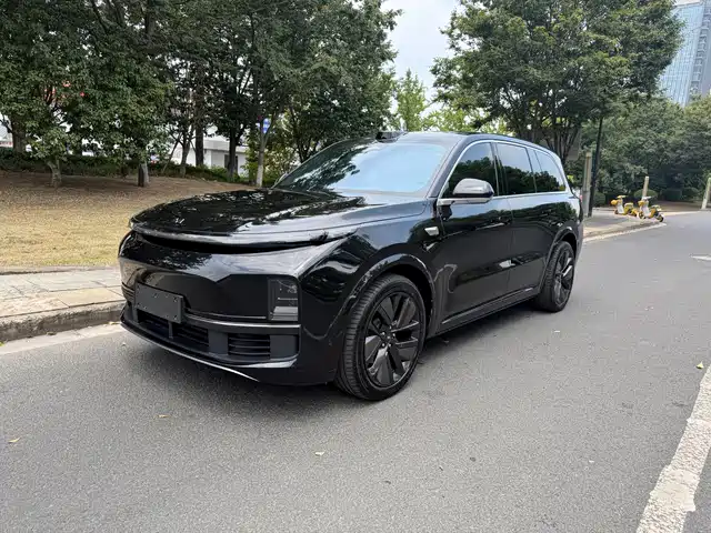 2025 Li Xiang L9