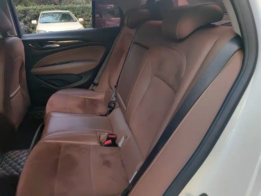 Buick Regal — миниатюра 18