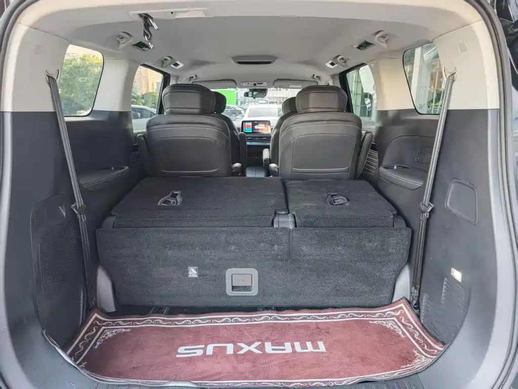 Maxus Dajia 9 — миниатюра 8