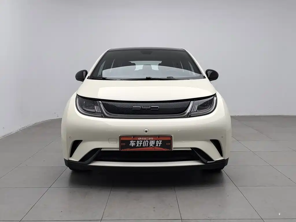 BYD Dolphin — миниатюра 3