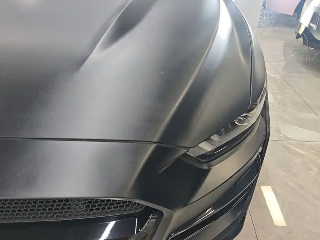 Ford Mustang — миниатюра 24