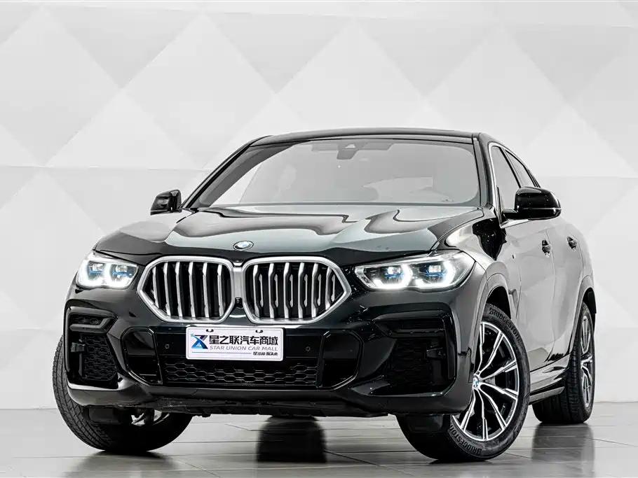 BMW X6 — миниатюра 2
