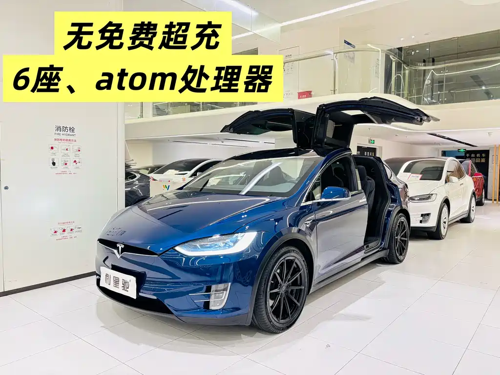 Tesla Model X — миниатюра 2