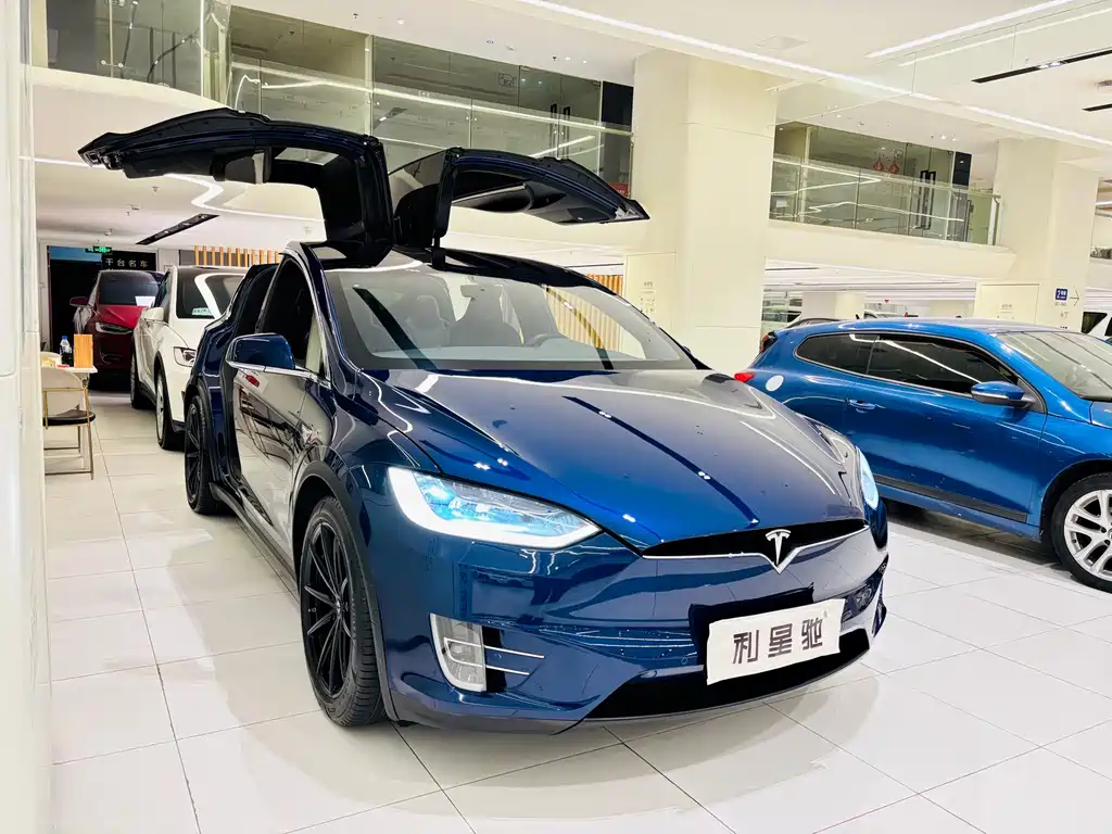 Tesla Model X — миниатюра 3