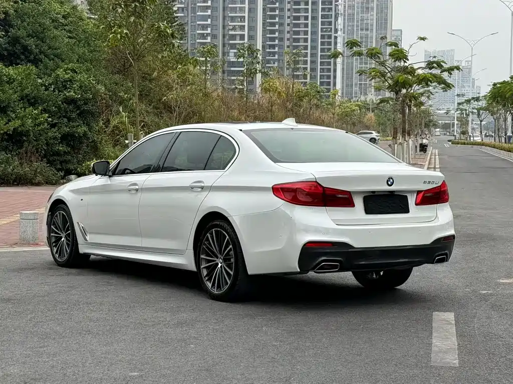 BMW 5 SERIES