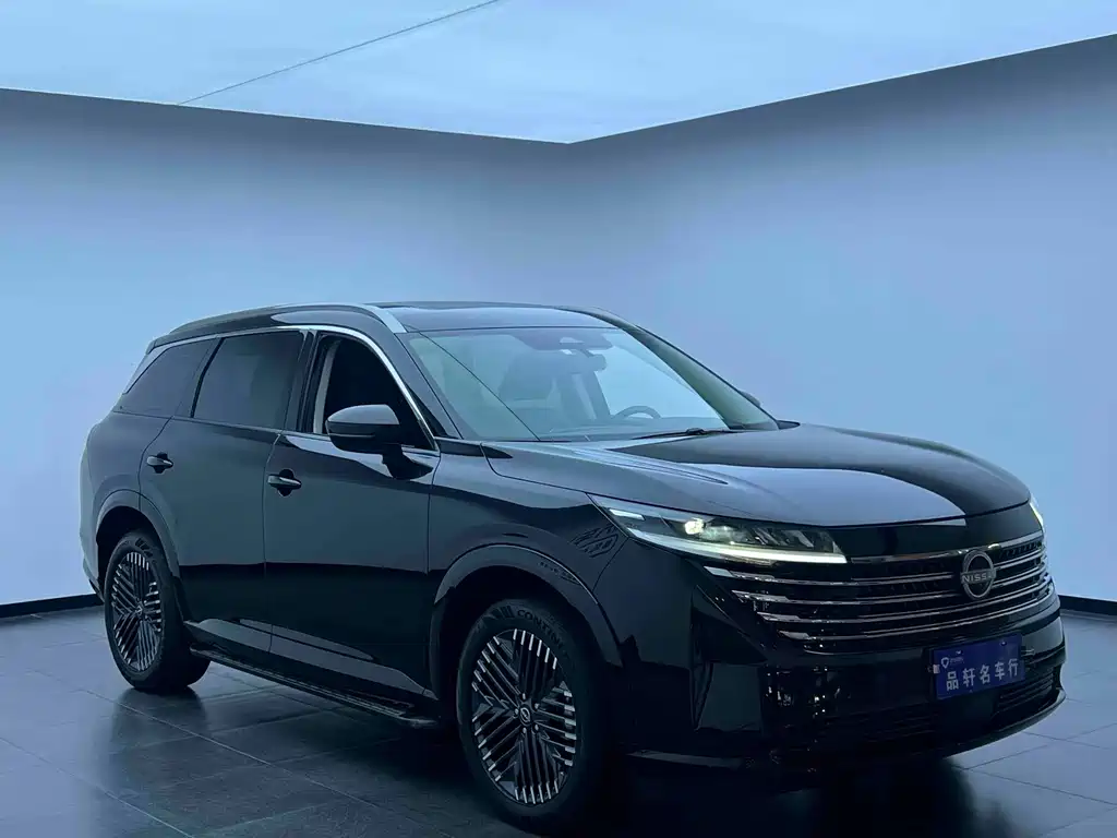 Nissan Teramont — миниатюра 7