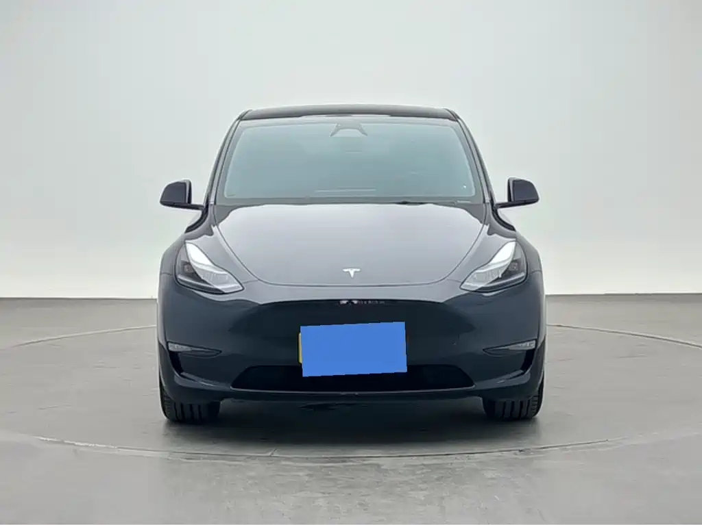 Tesla Model Y — миниатюра 2