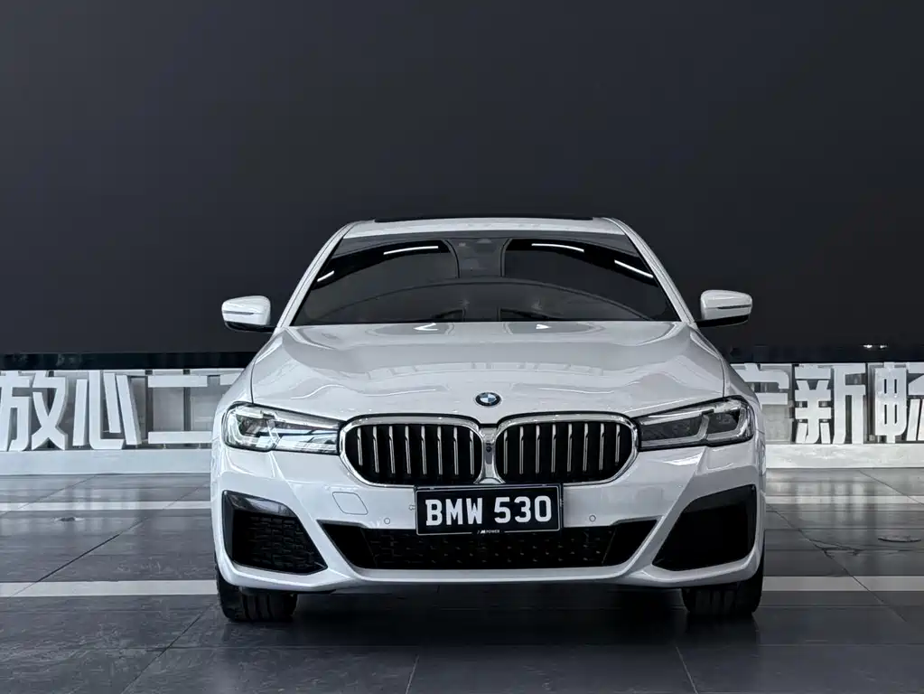 BMW 5 Series — миниатюра 2