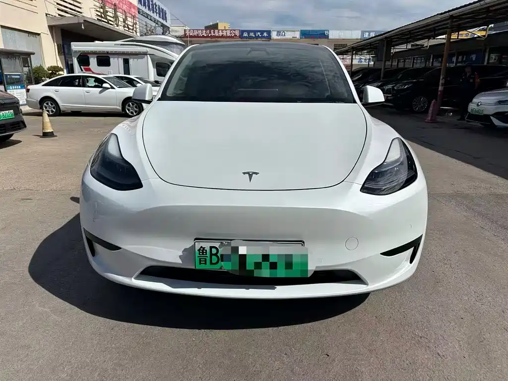 Tesla Model Y — миниатюра 2