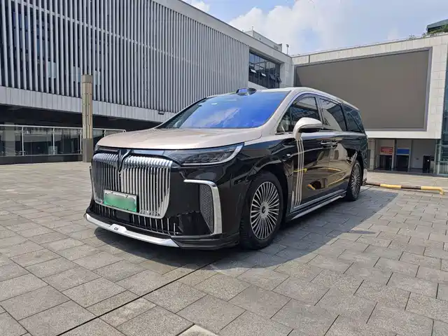 2025 Voyah Dream