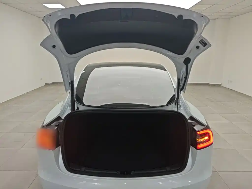 Tesla Model 3 — миниатюра 19
