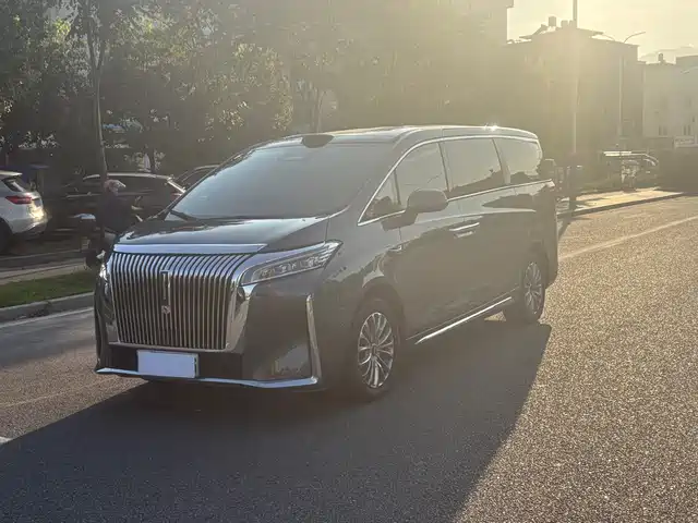 2025 Wey Gaoshan