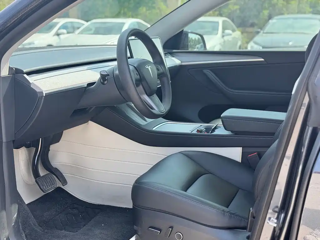 Tesla Model Y — миниатюра 10