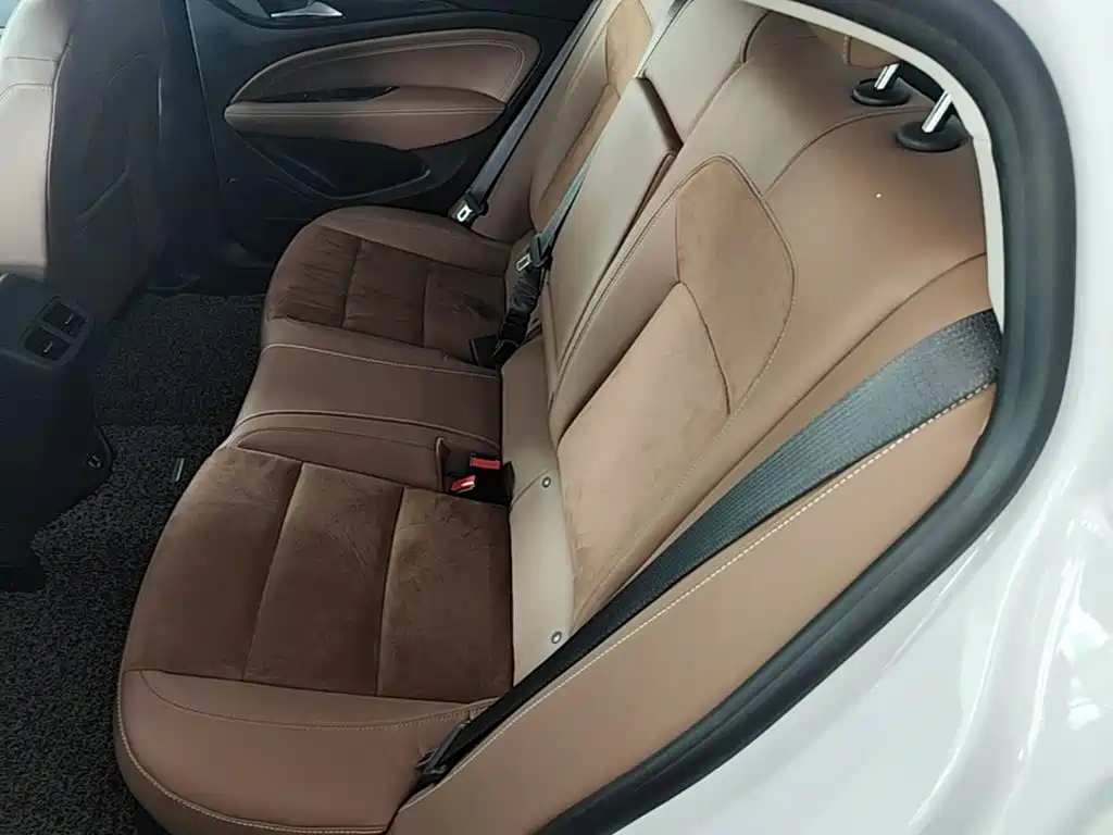 Buick Regal — миниатюра 17