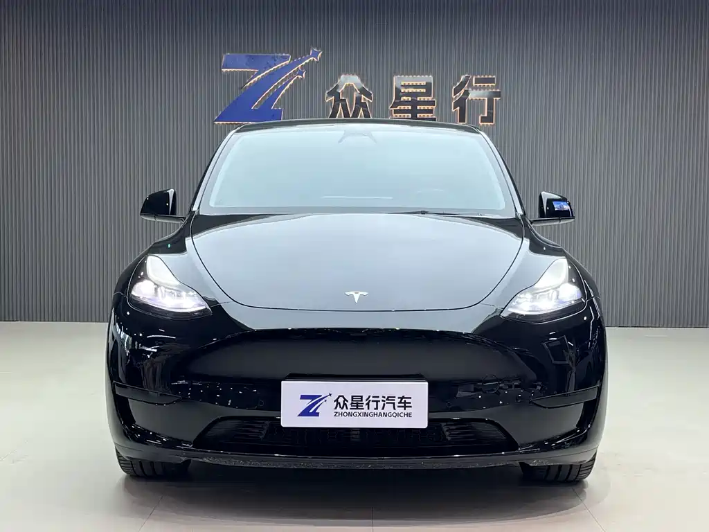 Tesla Model Y — миниатюра 2
