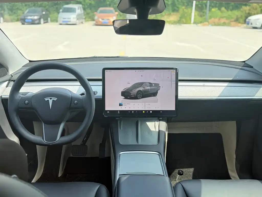 Tesla Model Y — миниатюра 12