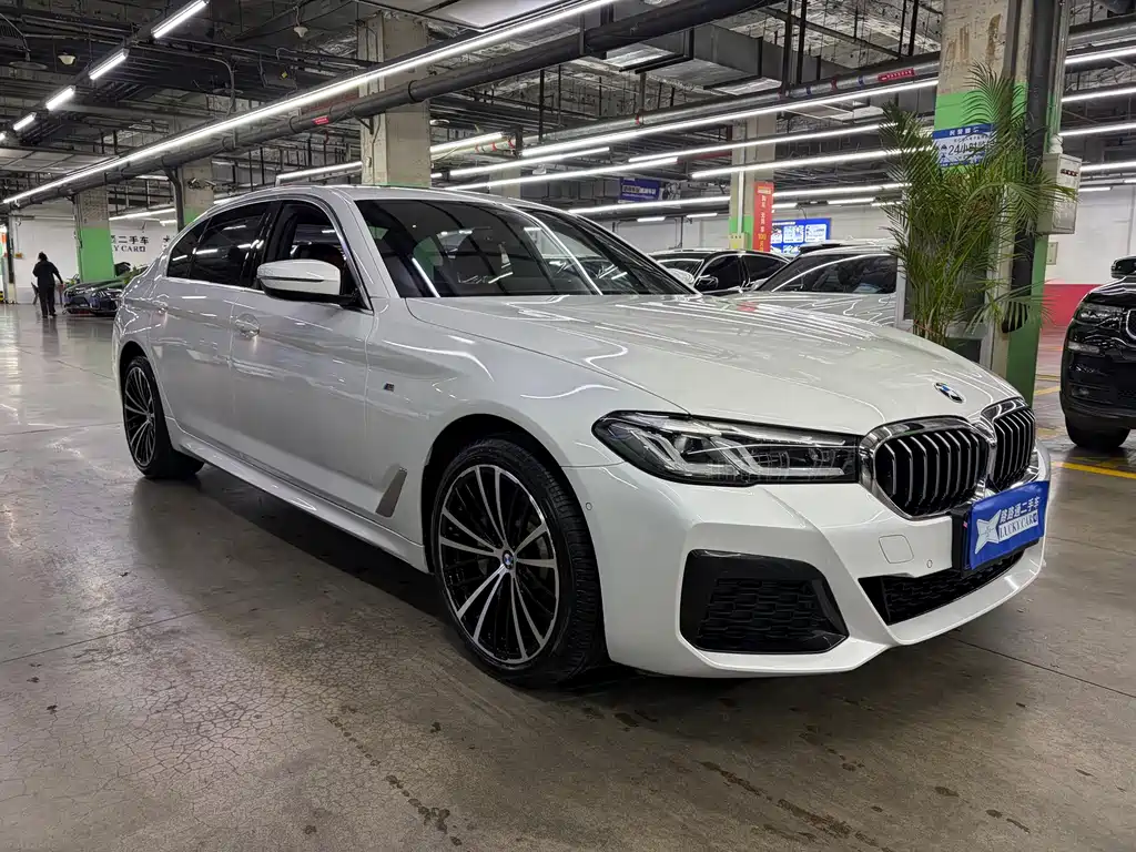 BMW 5 Series — миниатюра 3