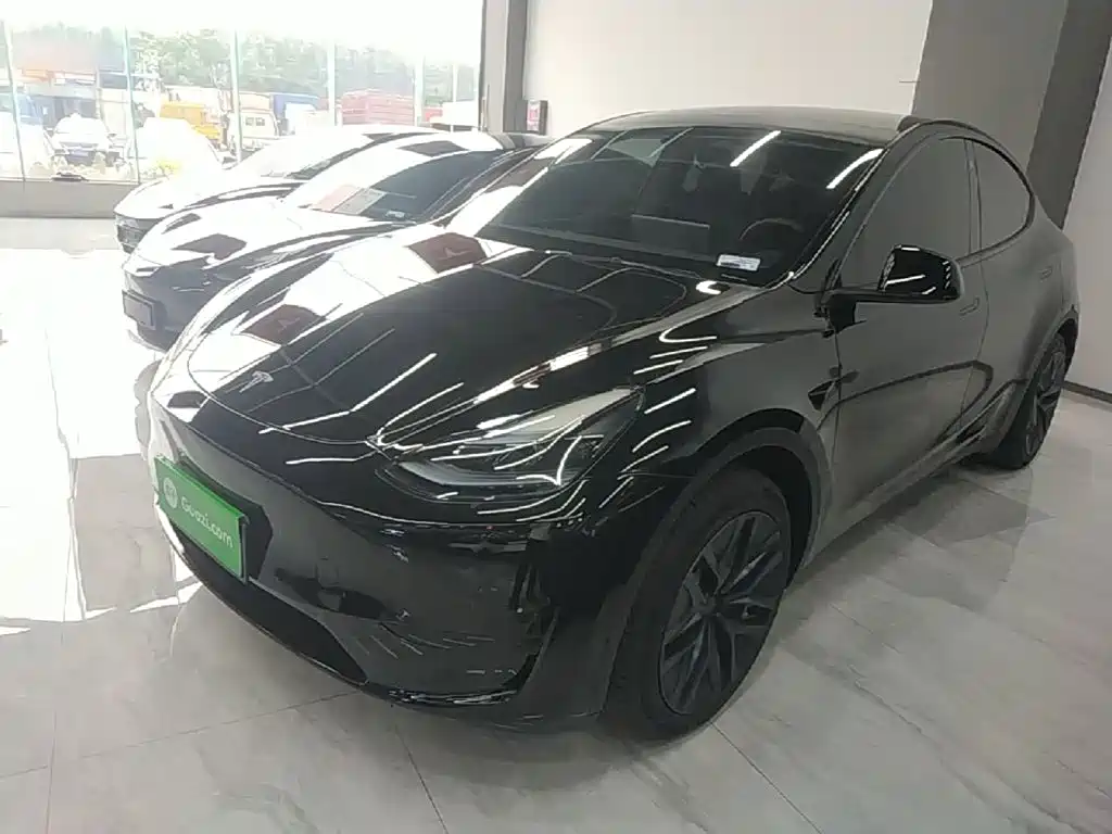 Tesla Model Y — миниатюра 2