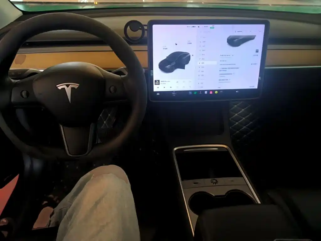 Tesla Model Y — миниатюра 10