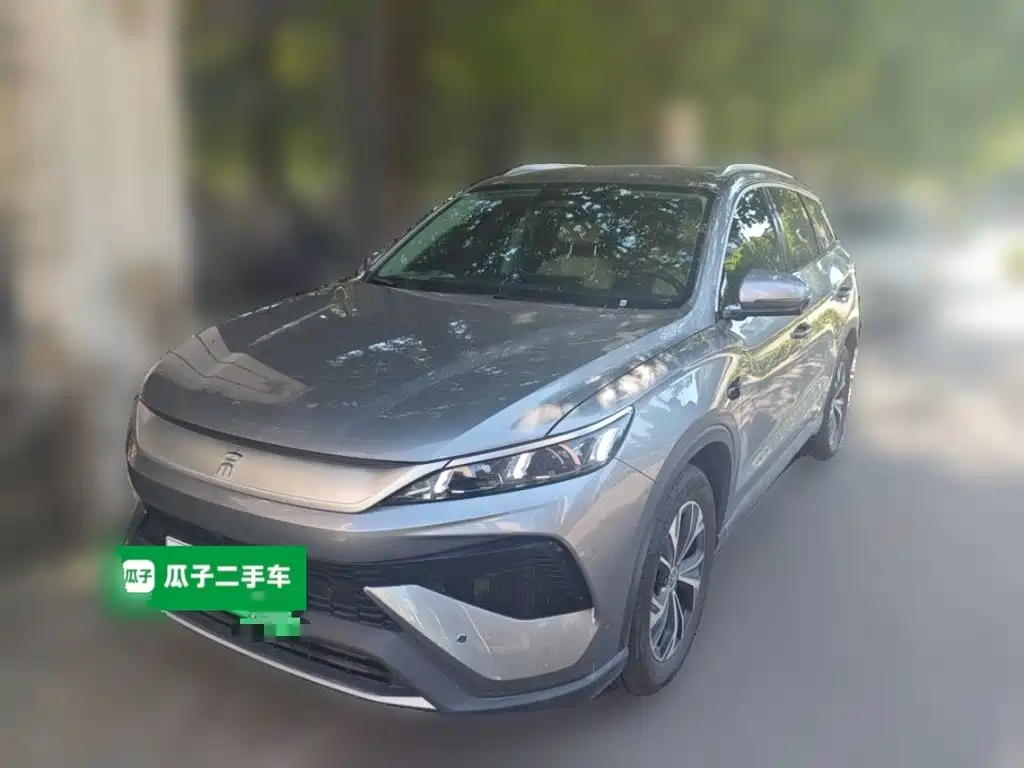 BYD Pro New Energy — миниатюра 2