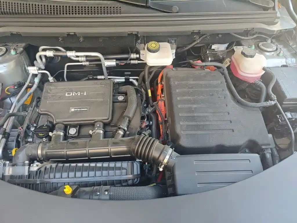 BYD Pro New Energy — миниатюра 11