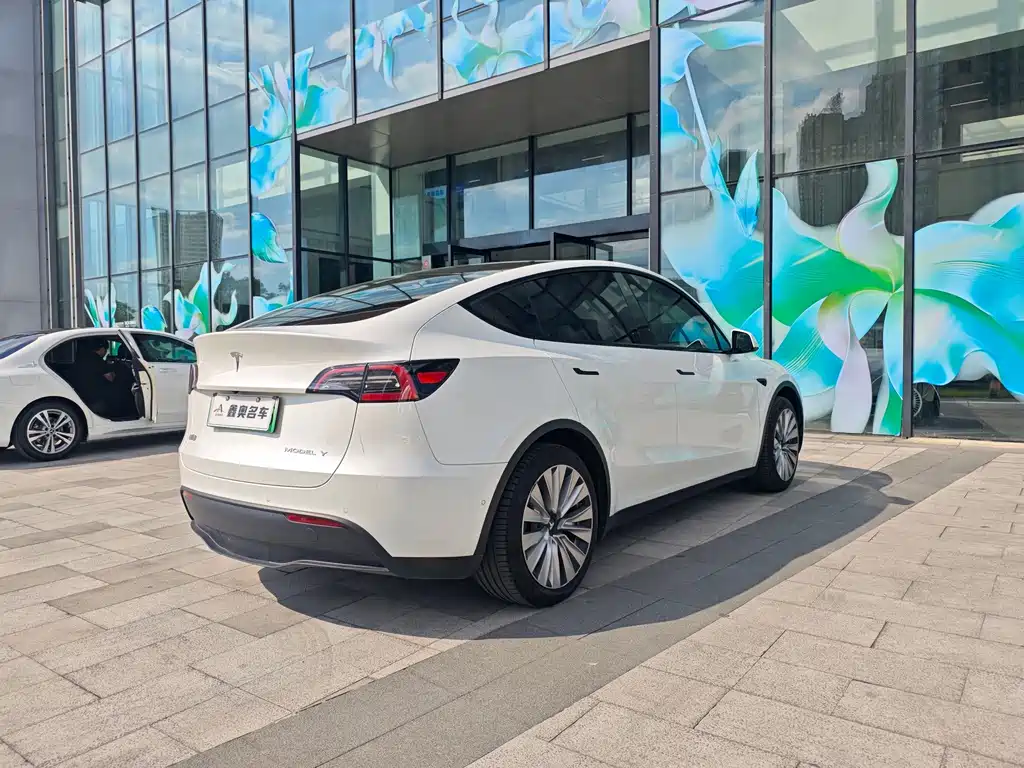 Tesla Model Y — миниатюра 4