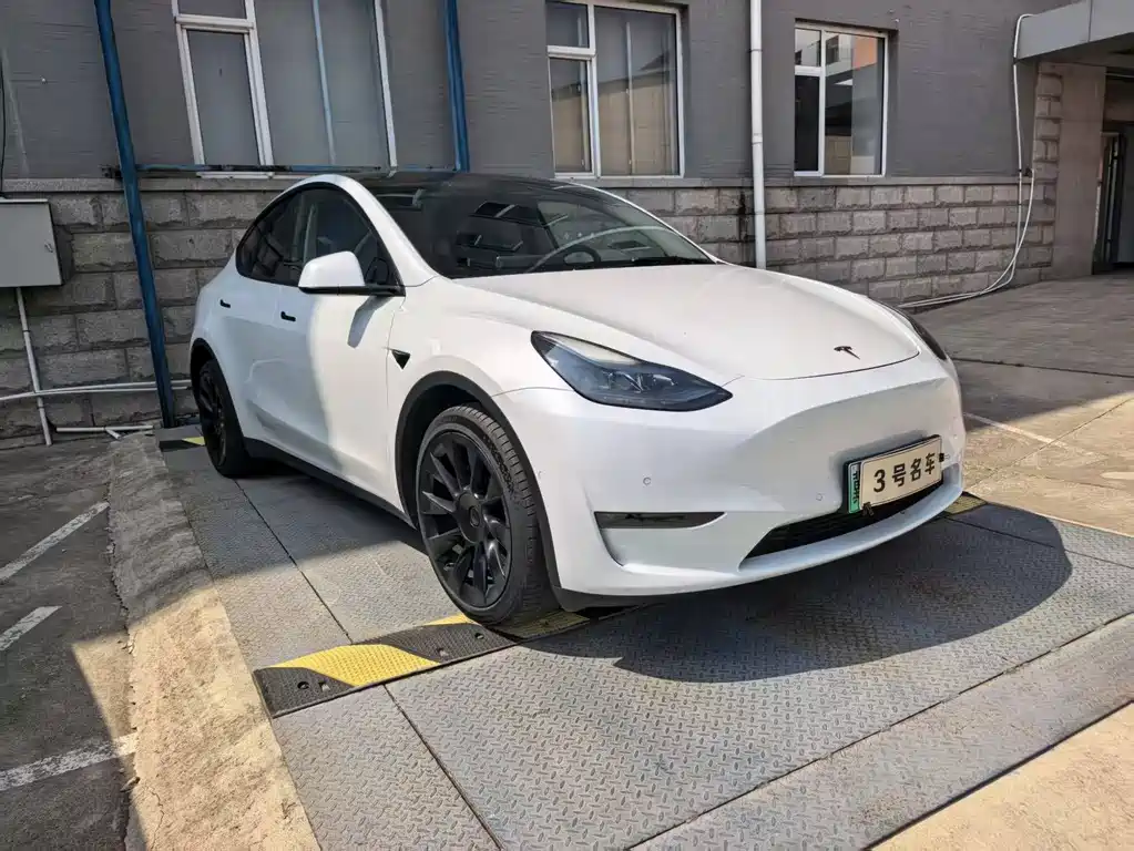 Tesla Model Y — миниатюра 3