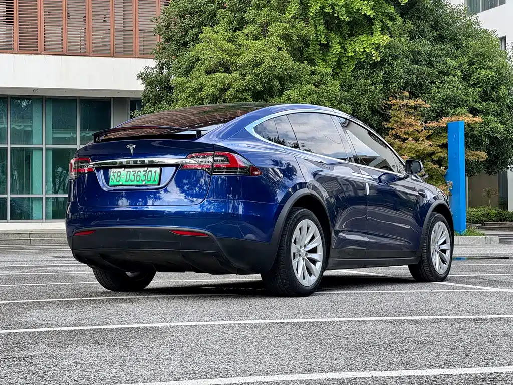 Tesla Model X — миниатюра 6