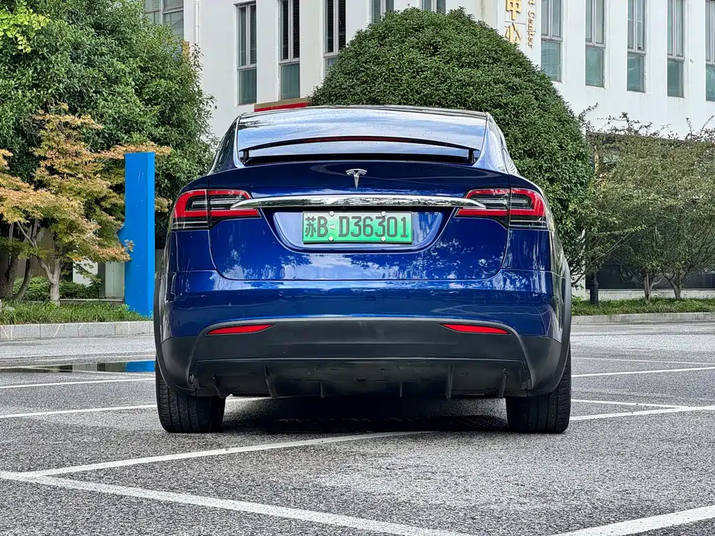 Tesla Model X — миниатюра 5