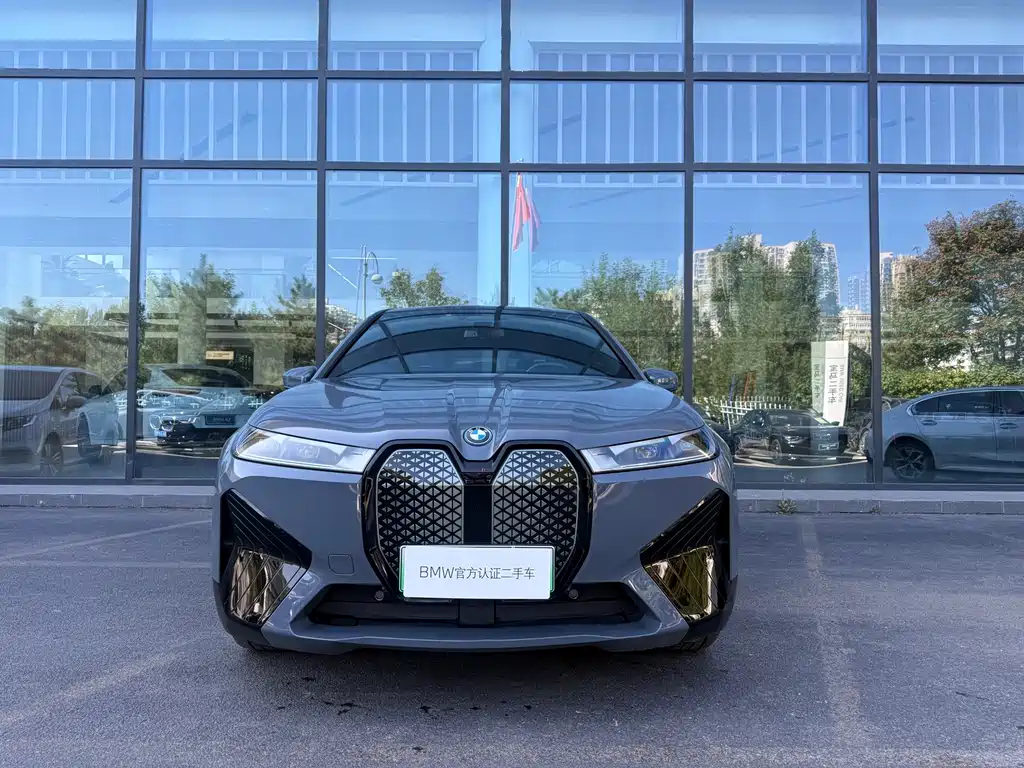 BMW iX — миниатюра 2