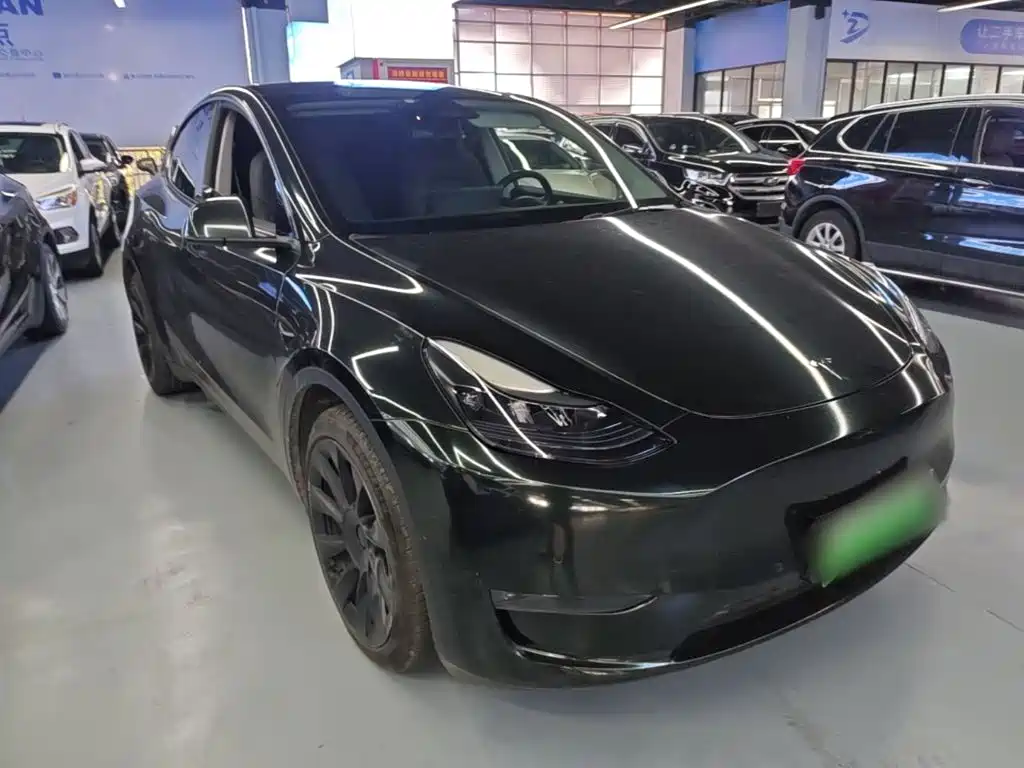 Tesla Model Y — миниатюра 4