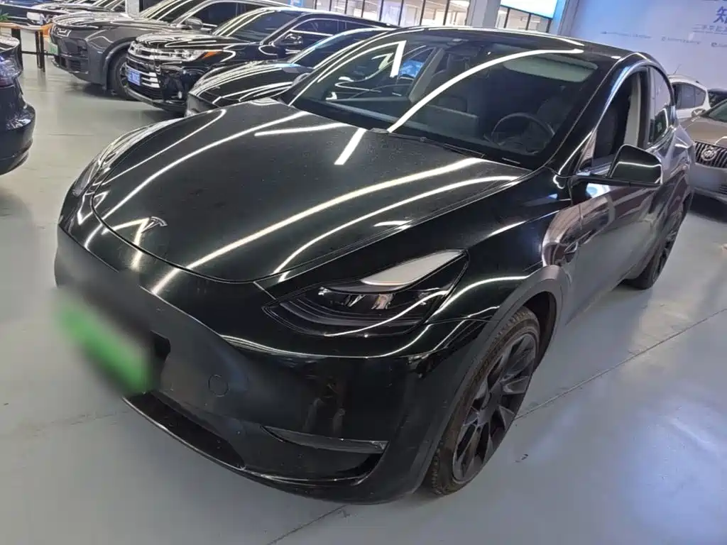 Tesla Model Y — миниатюра 2