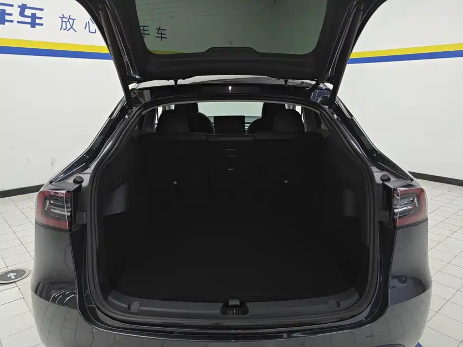 Tesla Model Y — миниатюра 4