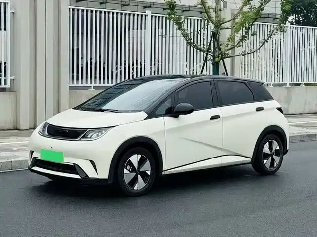 2023 BYD Dolphin