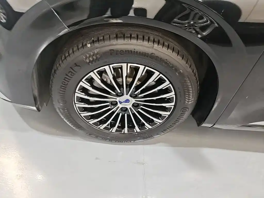 Denza Denza D9 — миниатюра 23