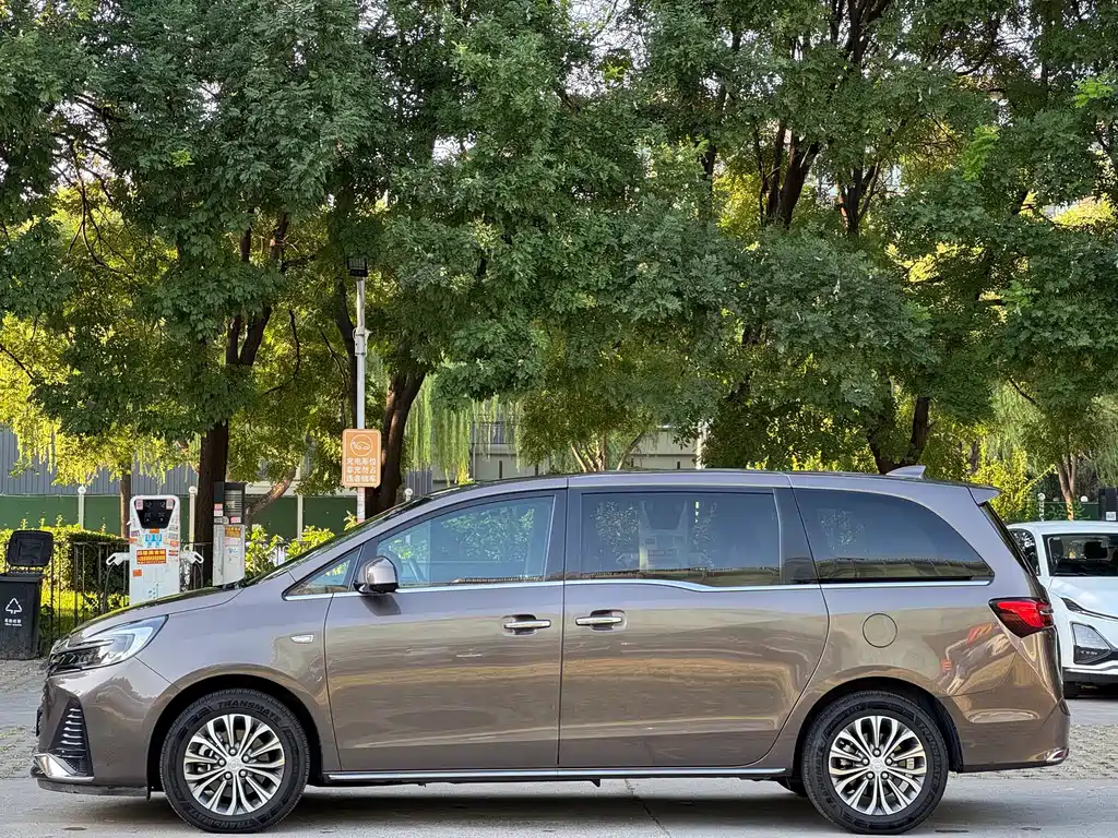 Buick GL8 — миниатюра 10
