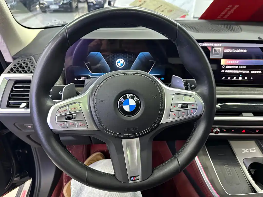 BMW X5 — миниатюра 23