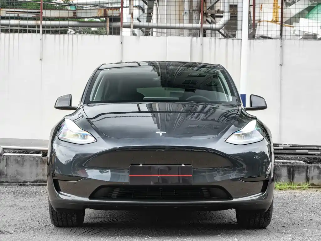 Tesla Model Y — миниатюра 3