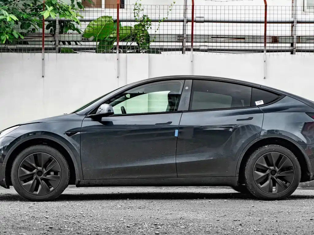 Tesla Model Y — миниатюра 7