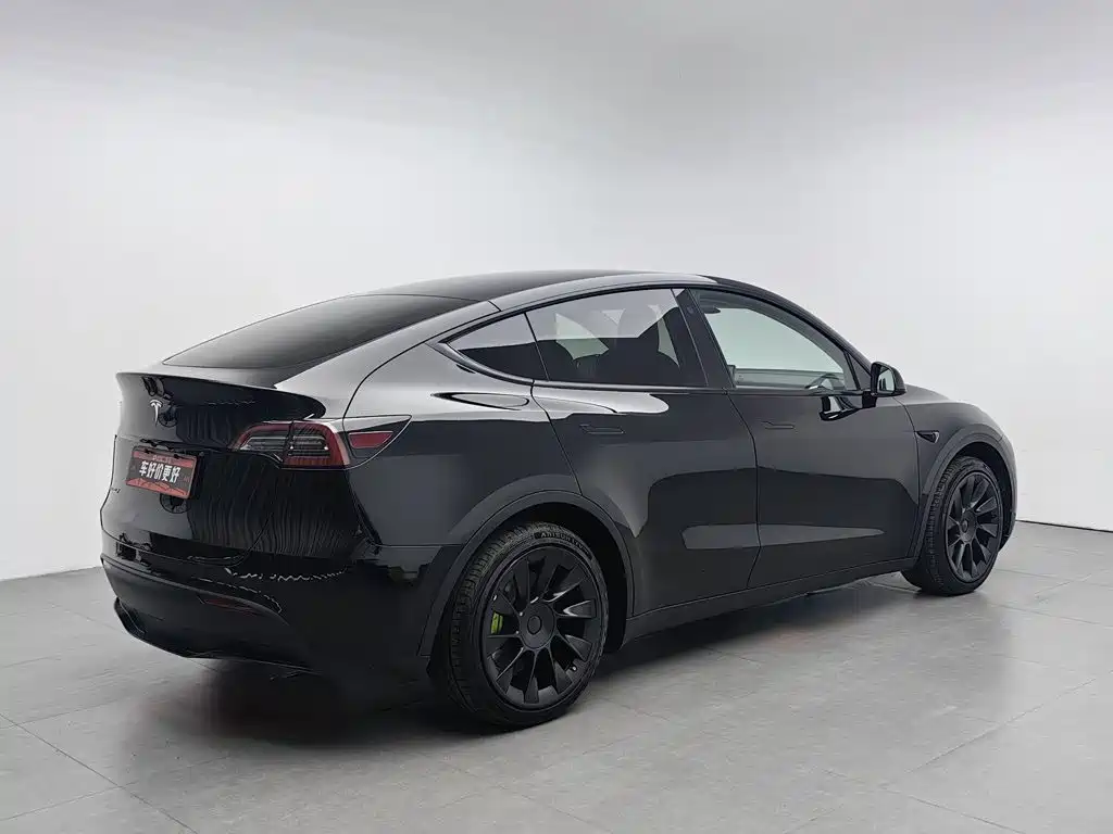 Tesla Model Y — миниатюра 2